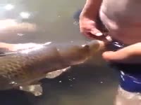 Fish Suck